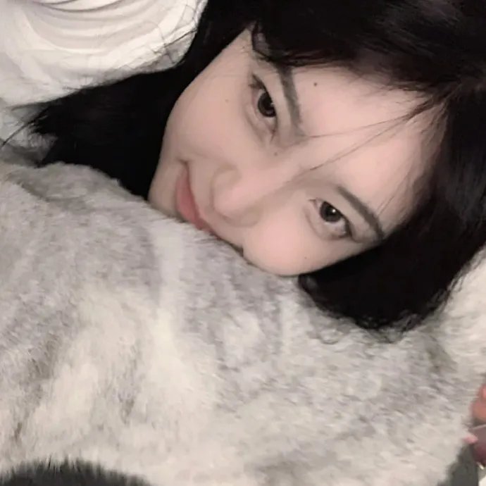 鸟,孤儿和愚人
